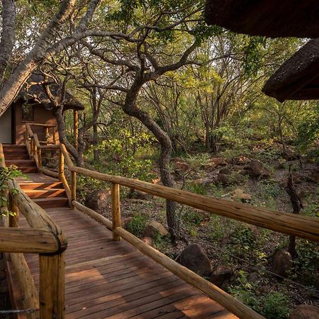 Tshwene Lodge Vaalwater Bagian luar foto