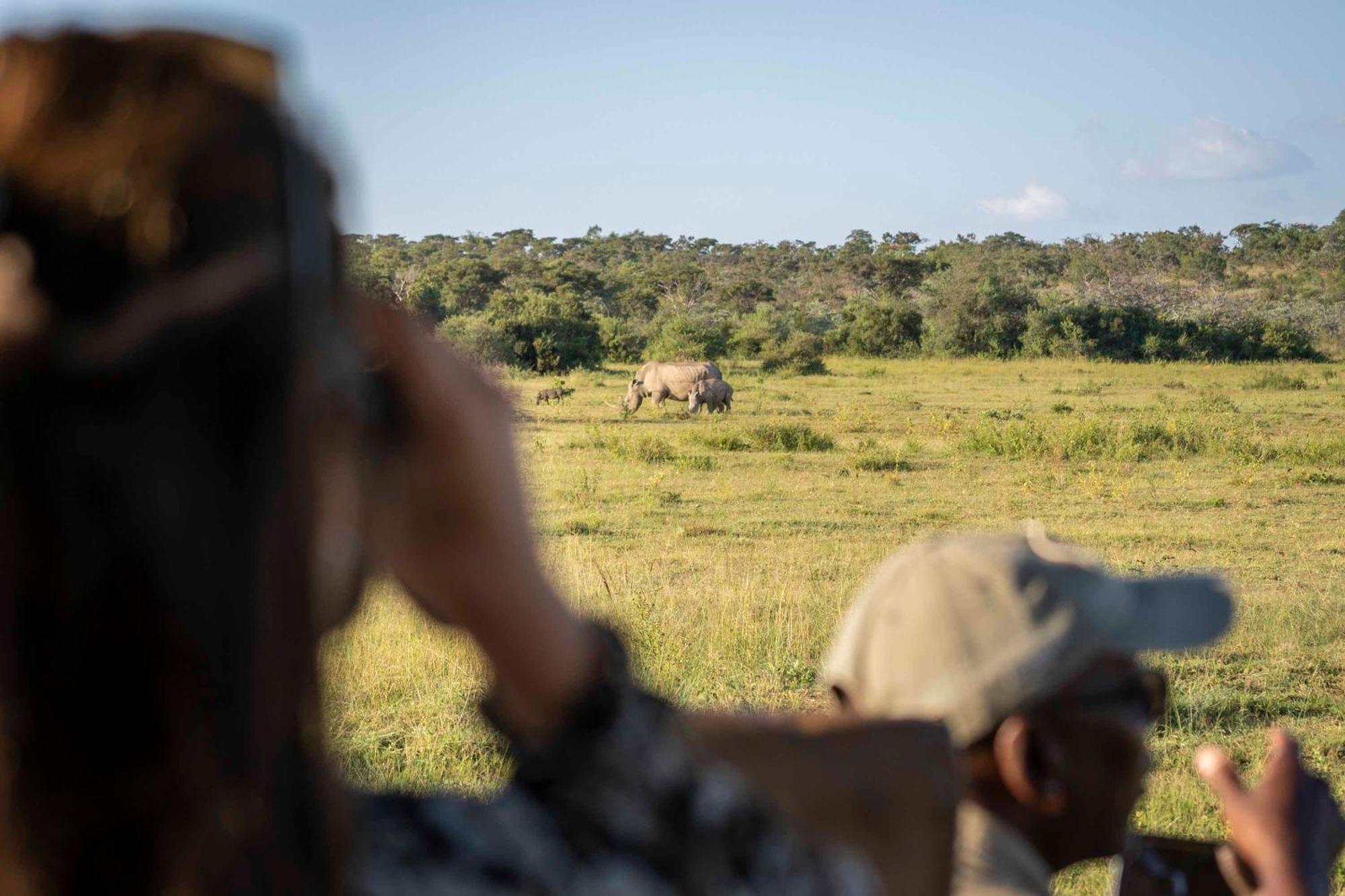 Tshwene Lodge Vaalwater Bagian luar foto