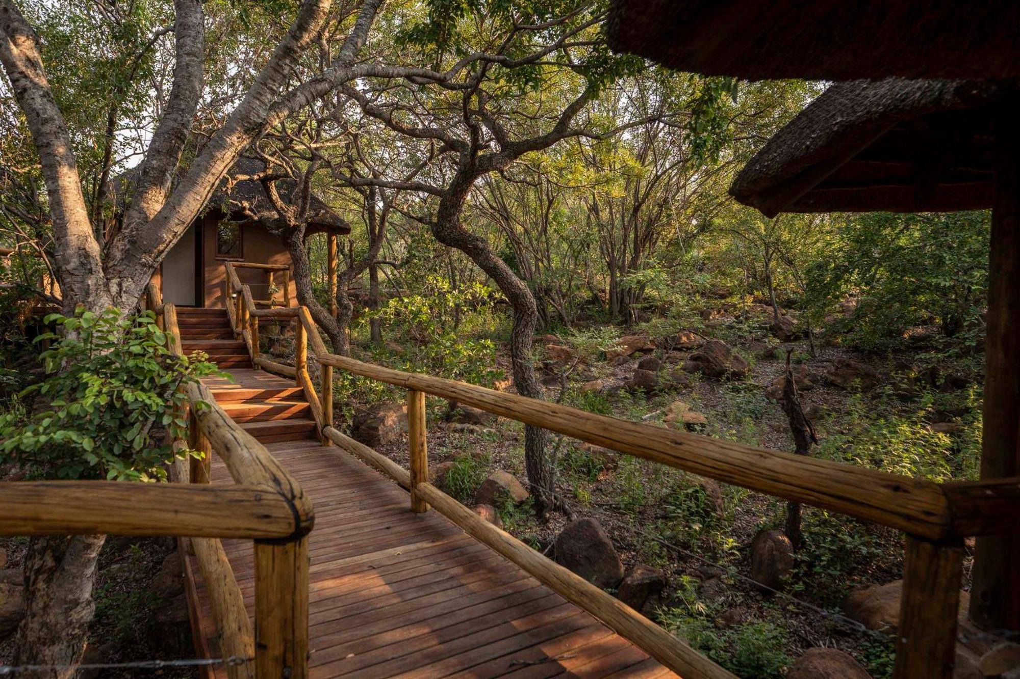Tshwene Lodge Vaalwater Bagian luar foto