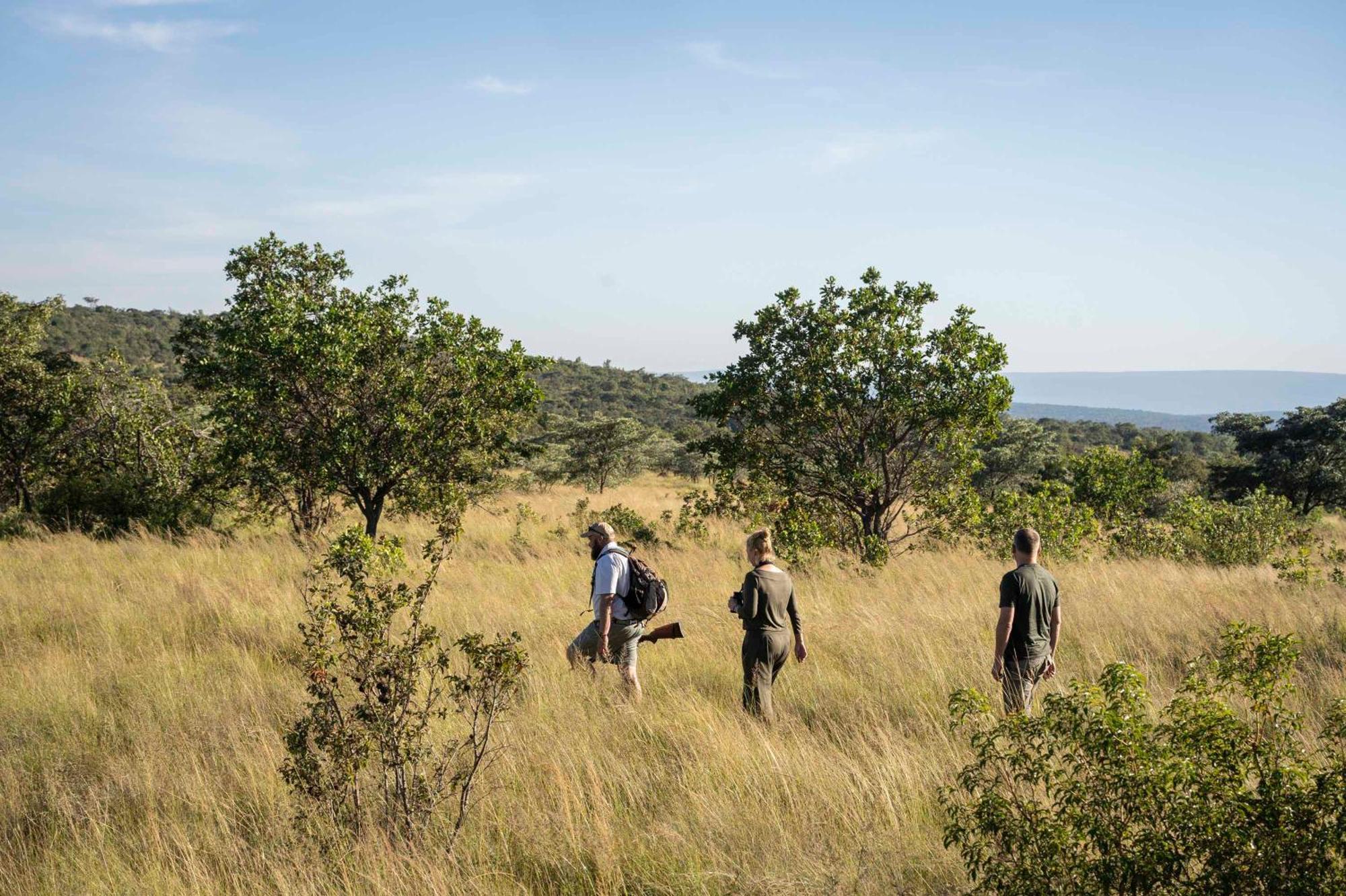 Tshwene Lodge Vaalwater Bagian luar foto