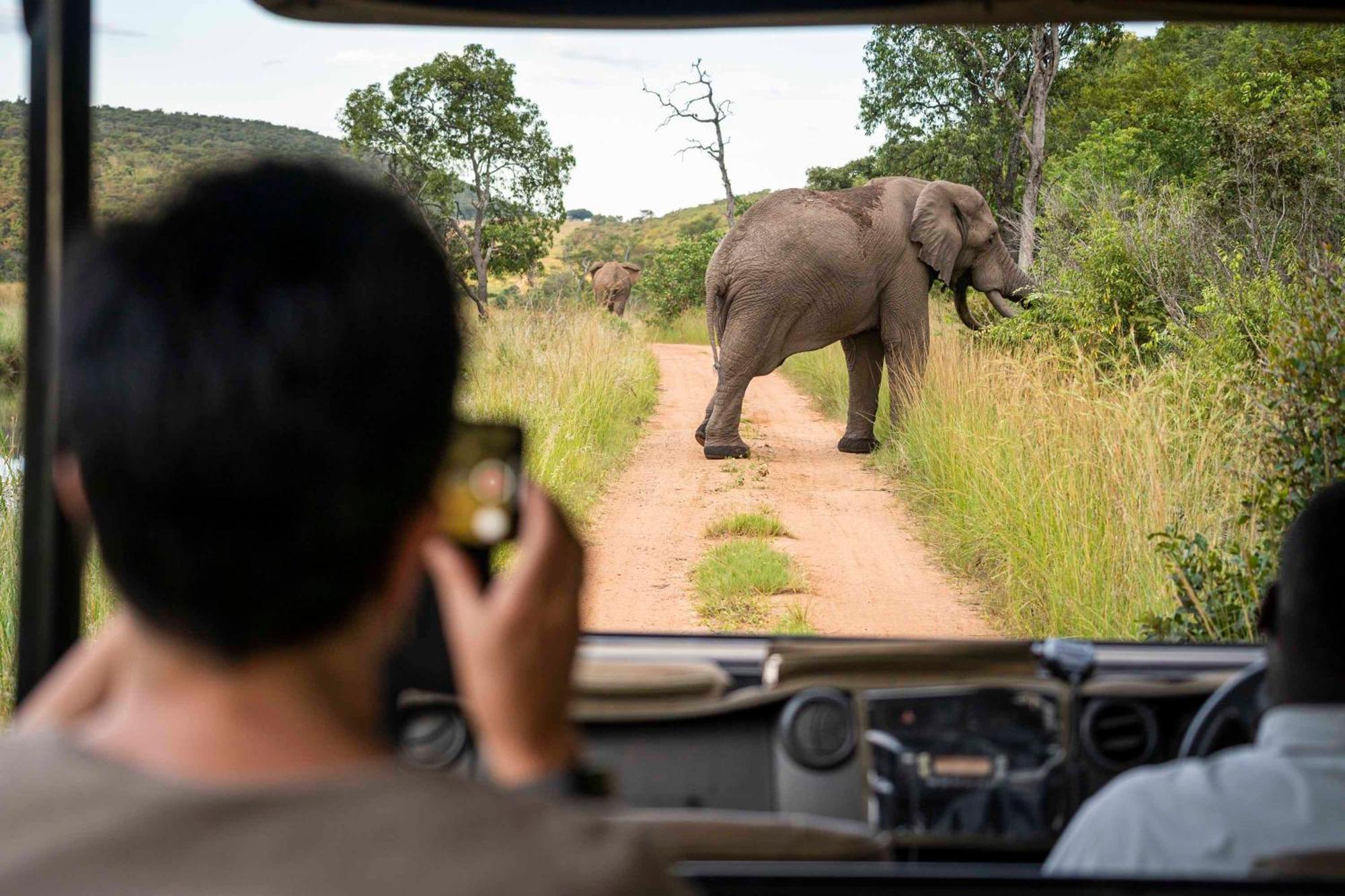 Tshwene Lodge Vaalwater Bagian luar foto