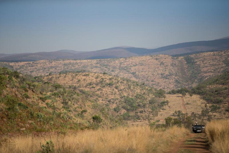 Tshwene Lodge Vaalwater Bagian luar foto