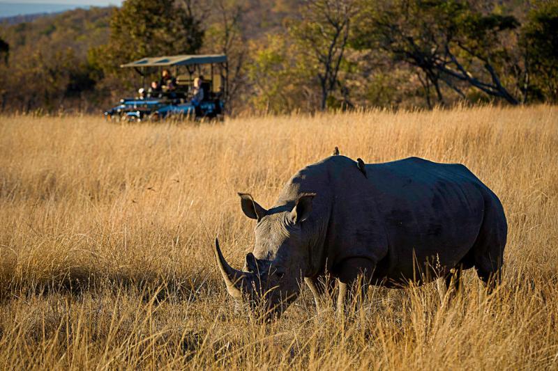 Tshwene Lodge Vaalwater Bagian luar foto