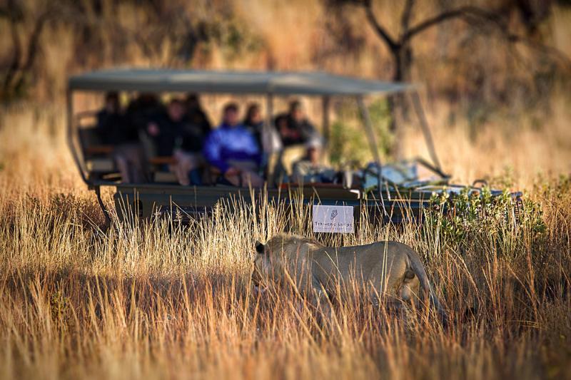 Tshwene Lodge Vaalwater Bagian luar foto